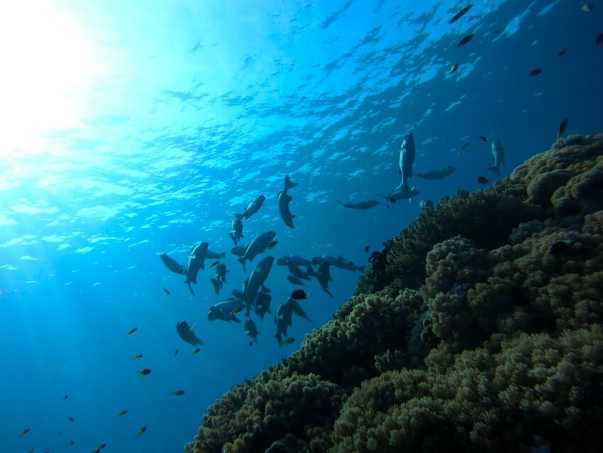 七根海岸で狙うべきポイント（地形・流れ）