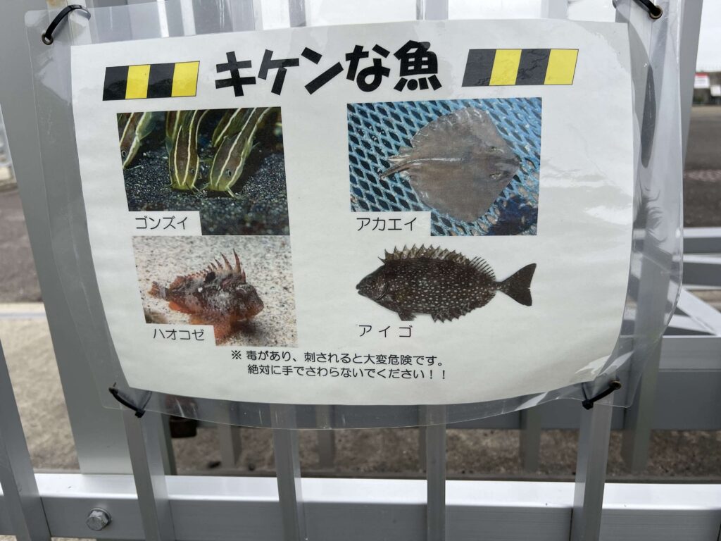 危険な魚の画像