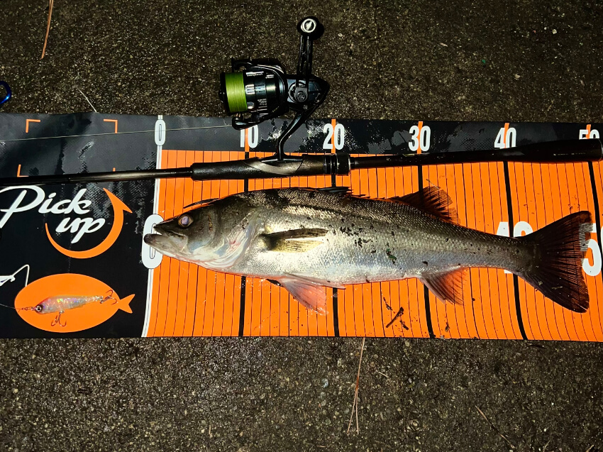 ハクパターンの基本的な釣り方と攻略のコツ