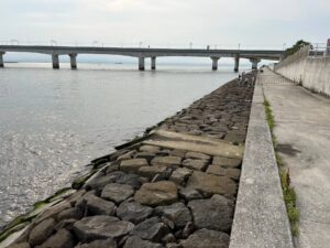 りんくう釣り護岸の画像