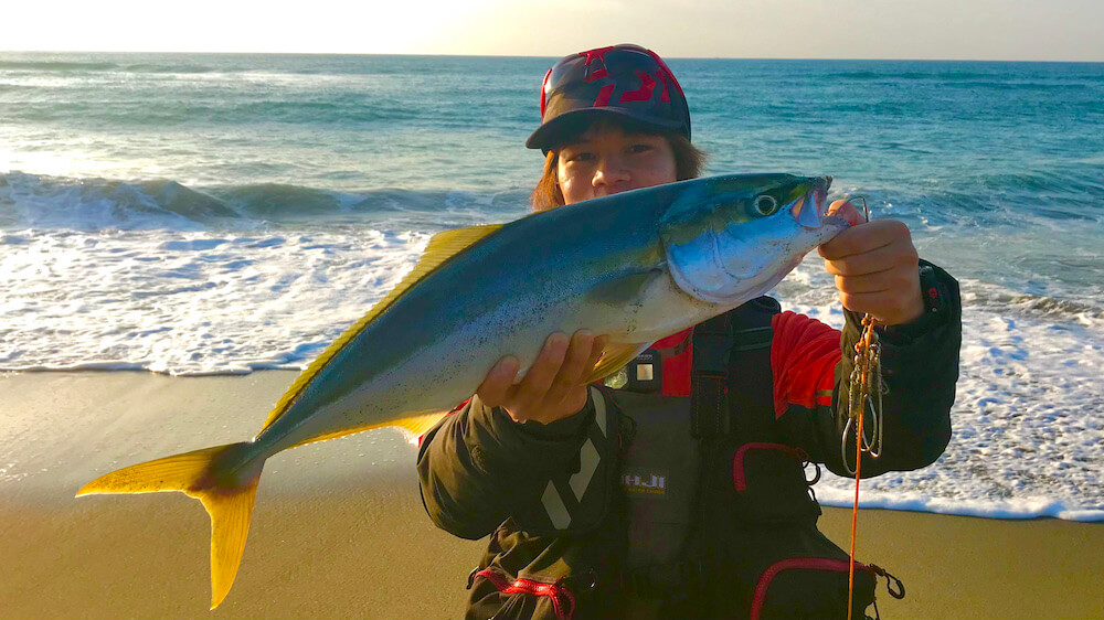 小松原海岸で釣れる魚の画像