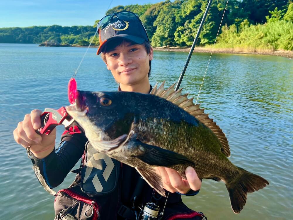 浜名湖でトップチヌで釣れたチヌの画像