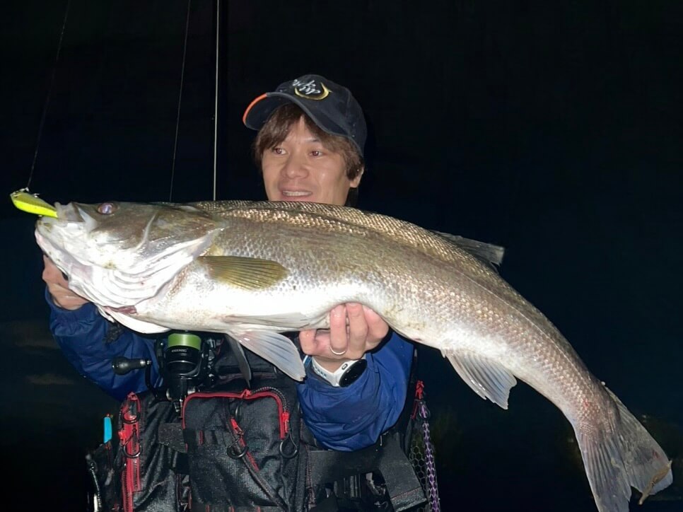 【釣果】名港河川でランカーシーバスをキャッチ