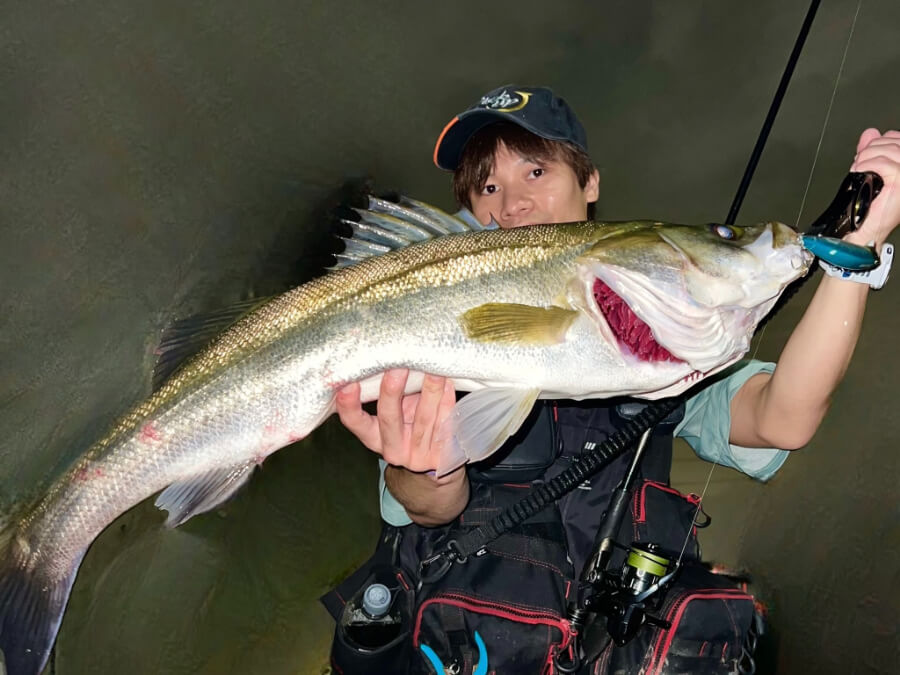 【釣果】衣浦河川でランカーシーバスをキャッチ
