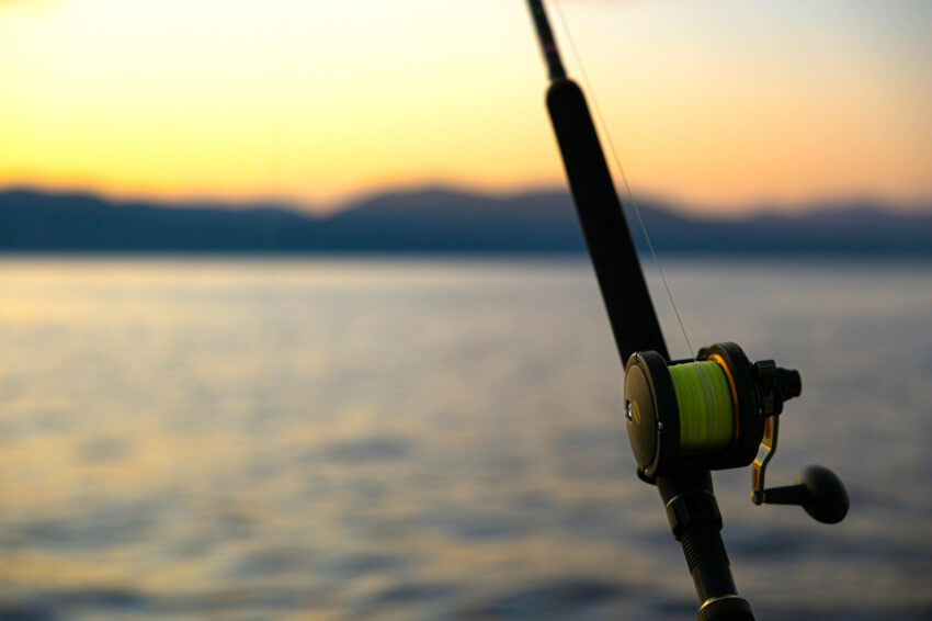 番外編(コスパ重視モデル)+2選のイメージ画像