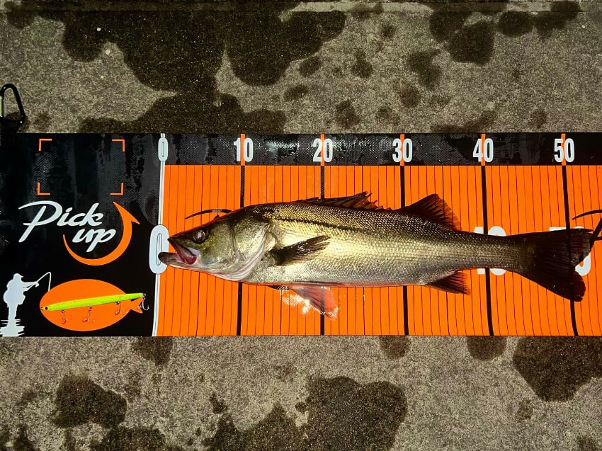 ノガレ120Fの使い方