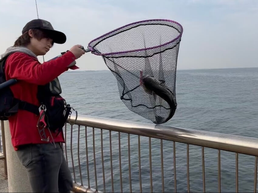 シーバスでタモと一緒に揃えたいアイテム