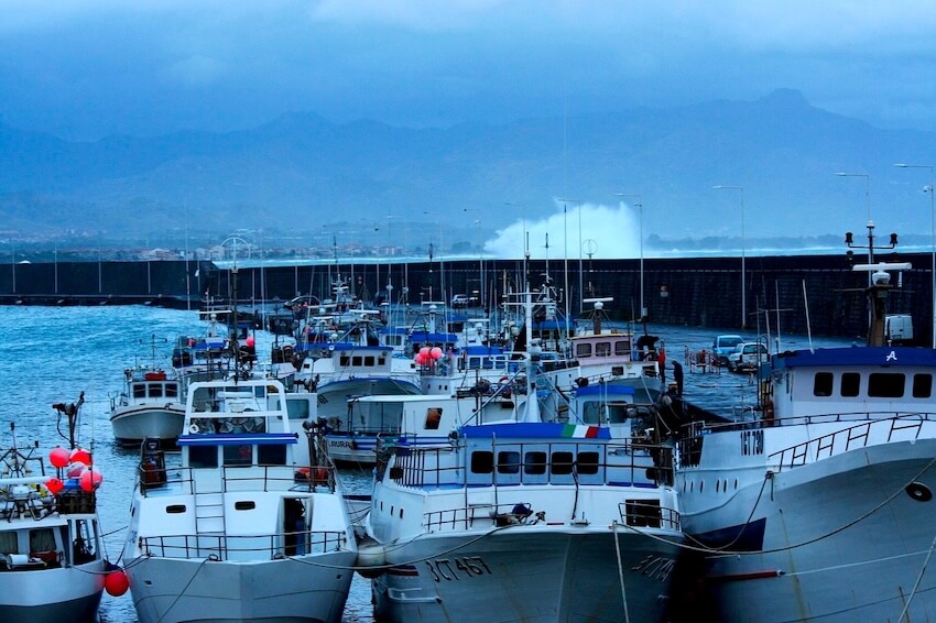 福井でイカメタルができる遊漁船