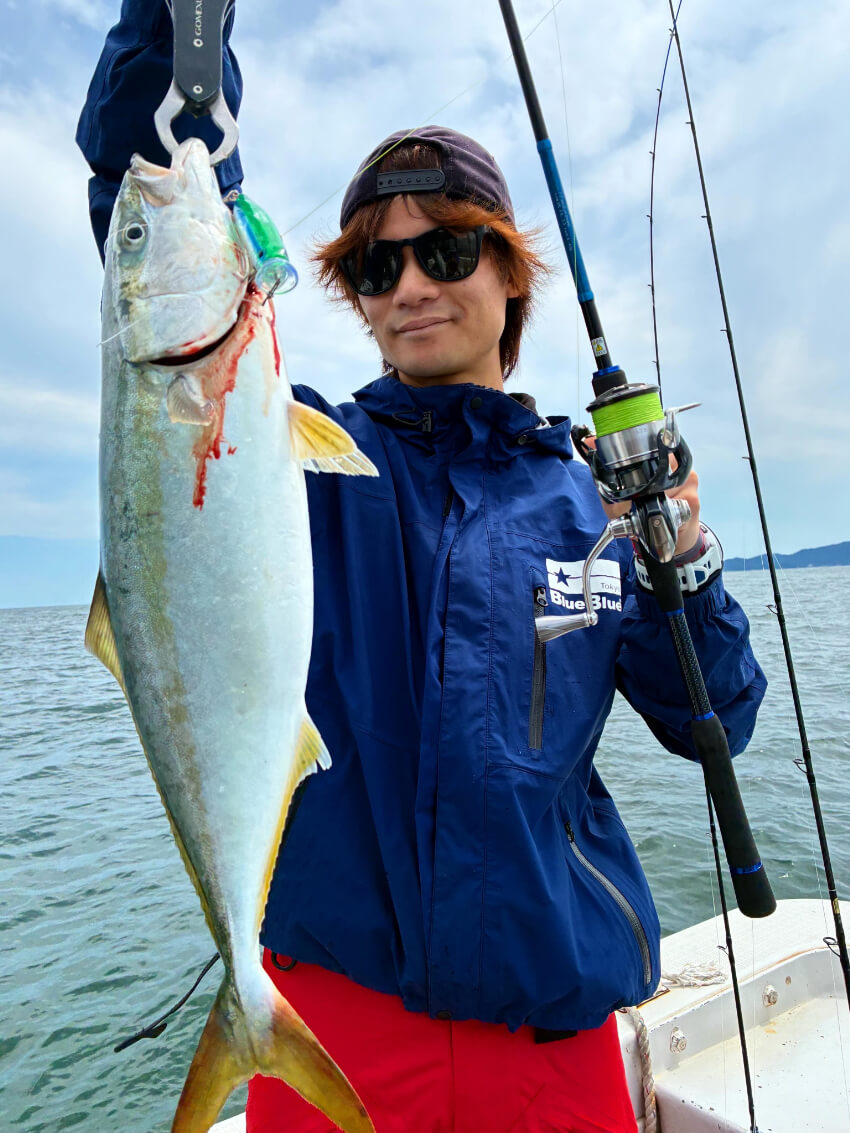 伊勢湾で釣れたハマチ