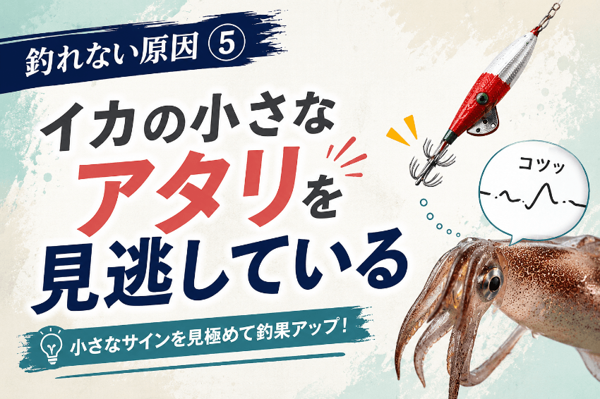 イカの小さなアタリを見逃している